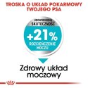 Royal Canin Mini Urinary Care karma sucha dla psów dorosłych, ras małych, ochrona dolnych dróg moczowych 1kg