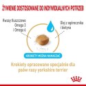 Royal Canin Yorkshire Terrier Adult 8+ karma sucha dla psów starszych rasy yorkshire terrier 1,5kg