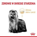 Royal Canin Yorkshire Terrier Adult 8+ karma sucha dla psów starszych rasy yorkshire terrier 1,5kg