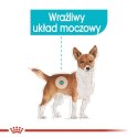 Royal Canin Urinary Care karma mokra dla psów dorosłych, wszystkich ras, wspierająca układ moczowy, pasztet saszetka 85g