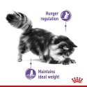 Royal Canin Appetite Control Care karma mokra w galaretce dla kotów dorosłych, domagających się jedzenia saszetka 85g