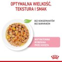 Royal Canin Kitten Sterilised karma mokra w galaretce dla kociąt od 6 do 12 miesiąca życia, sterylizowanych saszetka 85g