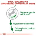 Royal Canin Mini Adult 8+ karma sucha dla psów starszych od 8 do 12 roku życia, ras małych 2kg