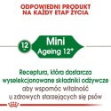 Royal Canin Mini Ageing 12+ karma sucha dla psów dojrzałych po 12 roku życia, ras małych 3,5kg