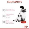 Royal Canin Mother & Babycat Mousse karma mokra - mus dla kociąt i kotek karmiących puszka 195g