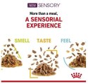 Royal Canin Sensory Feel w sosie karma mokra dla kotów dorosłych saszetka 85g