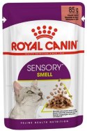 Royal Canin Sensory Smell w sosie karma mokra dla kotów dorosłych saszetka 85g