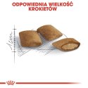 Royal Canin Ageing +12 karma sucha dla kotów dojrzałych 2kg