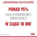 Royal Canin Digestive Care karma sucha dla kotów dorosłych, wspomagająca przebieg trawienia 2kg