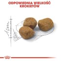 Royal Canin Fit karma sucha dla kotów dorosłych, wspierająca idealną kondycję 400g