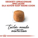 Royal Canin Maine Coon Adult karma sucha dla kotów dorosłych rasy maine coon 2kg