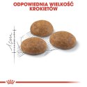 Royal Canin Outdoor karma sucha dla kotów dorosłych, wychodzących na zewnątrz 400g