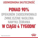 Royal Canin Appetite Control Care karma sucha dla kotów dorosłych, domagających się jedzenia 2kg