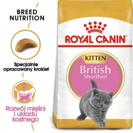 Royal Canin British Shorthair Kitten karma sucha dla kociąt, do 12 miesiąca, rasy brytyjski krótkowłosy 2kg