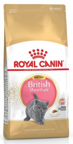 Royal Canin British Shorthair Kitten karma sucha dla kociąt, do 12 miesiąca, rasy brytyjski krótkowłosy 2kg