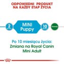 Royal Canin Mini Puppy karma sucha dla szczeniąt, od 2 do 10 miesiąca życia, ras małych 800g