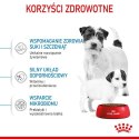 Royal Canin Mini Starter Mother&Babydog karma sucha dla szczeniąt do 2 miesiąca i suk karmiących ras małych 1kg