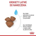 Royal Canin Mini Starter Mother&Babydog karma sucha dla szczeniąt do 2 miesiąca i suk karmiących ras małych 1kg