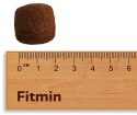 Fitmin Dog For Life Adult Large Breed 3kg