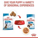 Royal Canin Maxi Puppy karma mokra w sosie dla szczeniąt, od 2 do 15 miesiąca życia, ras dużych saszetka 140g